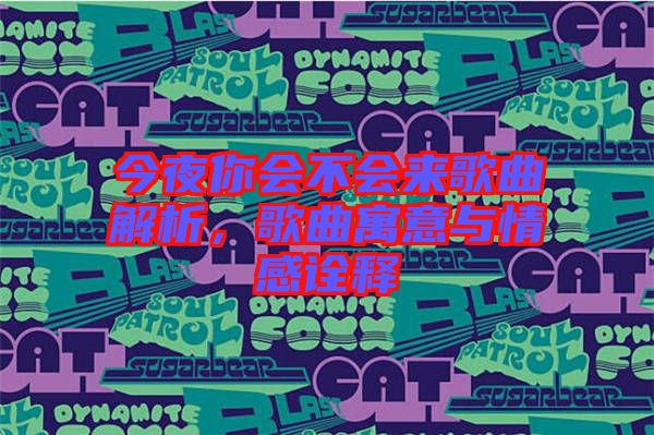 今夜你會不會來歌曲解析，歌曲寓意與情感詮釋