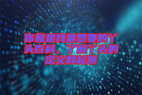 你就是我最想要的丫頭百科,了解丫頭的定義和起源