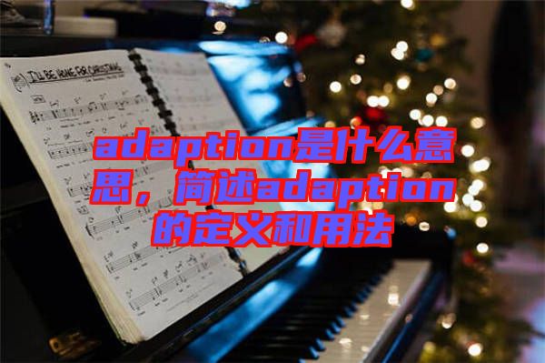 adaption是什么意思,簡述adaption的定義和用法