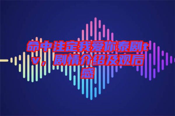 命中注定我愛你泰劇tv,劇情介紹及觀后感