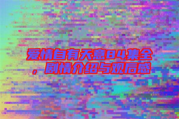 愛(ài)情自有天意84集全，劇情介紹與觀后感