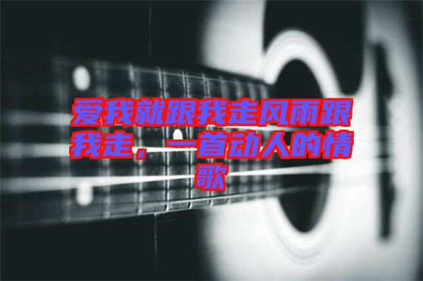 愛我就跟我走風雨跟我走,一首動人的情歌