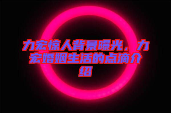 力宏驚人背景曝光,力宏婚姻生活的點(diǎn)滴介紹