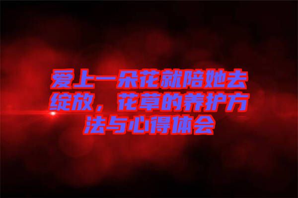 愛上一朵花就陪她去綻放,花草的養護方法與心得體會