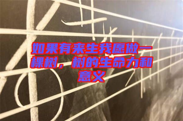 如果有來生我愿做一棵樹,樹的生命力和意義