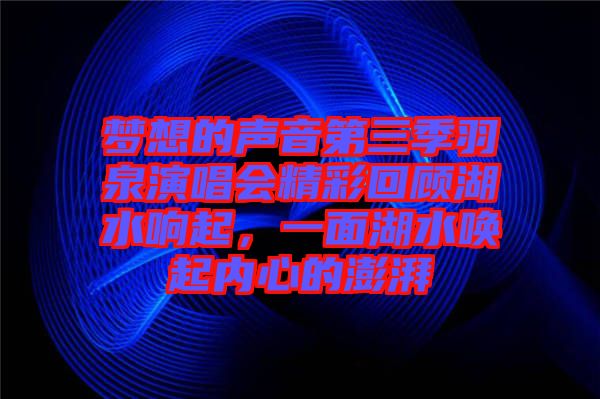 夢想的聲音第三季羽泉演唱會精彩回顧湖水響起,一面湖水喚起內心的澎湃
