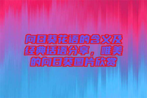 向日葵花語的含義及經典話語分享,唯美的向日葵圖片欣賞
