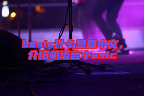 basic什么意思中文,介紹機語言中asic