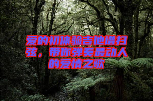 愛的初體驗吉他譜掃弦,帶你彈奏最動人的愛情之歌