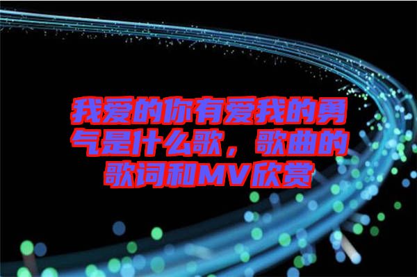 我愛的你有愛我的勇氣是什么歌,歌曲的歌詞和MV欣賞