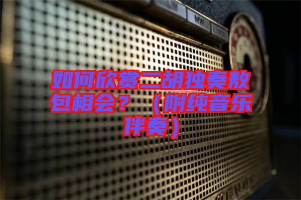 如何欣賞二胡獨奏敖包相會?(附純音樂伴奏)