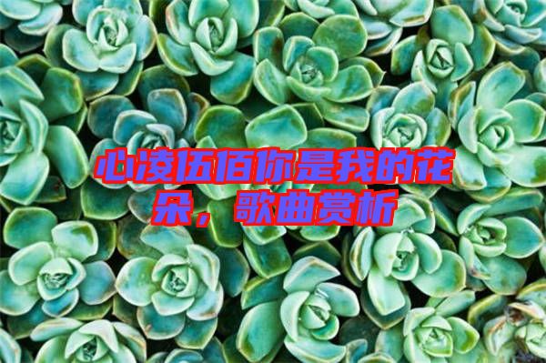 心凌伍佰你是我的花朵，歌曲賞析