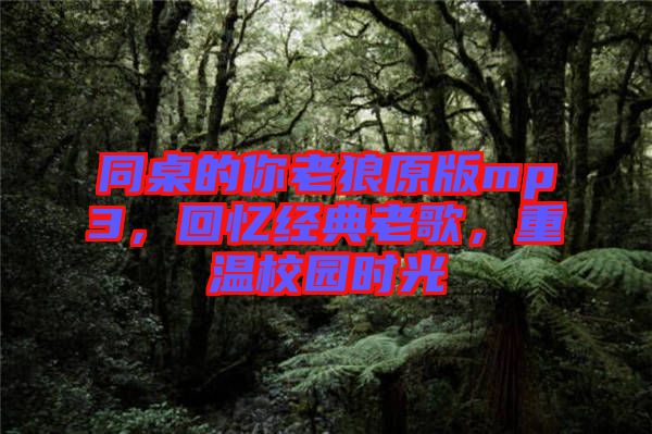 同桌的你老狼原版mp3,回憶經(jīng)典老歌,重溫校園時(shí)光