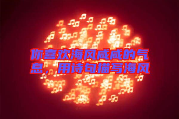 你喜歡海風(fēng)咸咸的氣息,用詩句描寫海風(fēng)