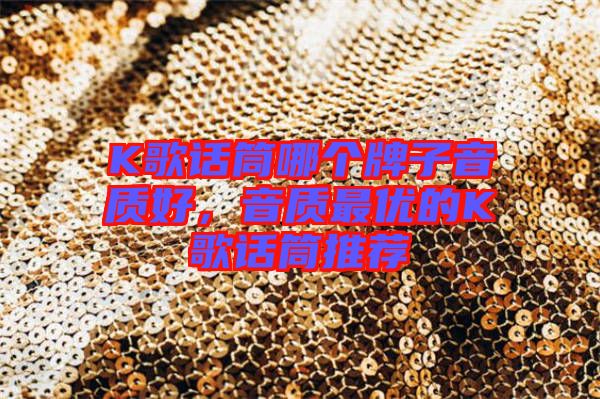 K歌話筒哪個(gè)牌子音質(zhì)好，音質(zhì)最優(yōu)的K歌話筒推薦