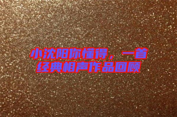 小沈陽你懂得，一首經典相聲作品回顧