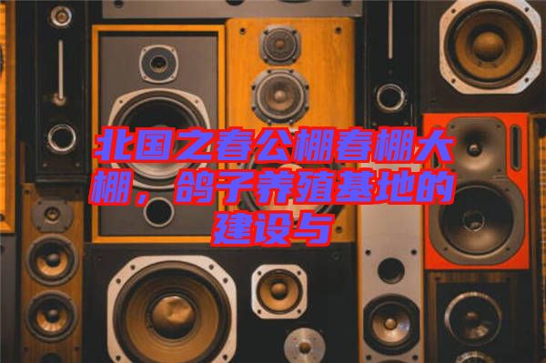 北國之春公棚春棚大棚,鴿子養殖基地的建設與