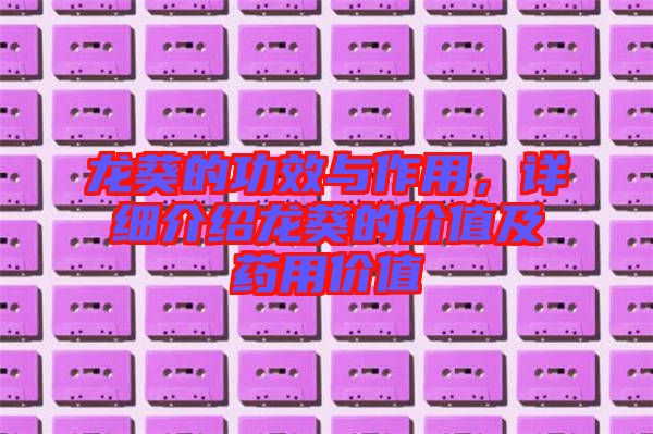 龍葵的功效與作用,詳細(xì)介紹龍葵的價(jià)值及藥用價(jià)值