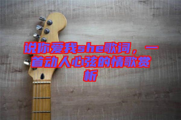 說你愛我she歌詞,一首動(dòng)人心弦的情歌賞析