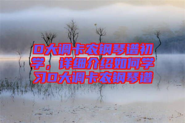 D大調(diào)卡農(nóng)鋼琴譜初學(xué),詳細(xì)介紹如何學(xué)習(xí)D大調(diào)卡農(nóng)鋼琴譜