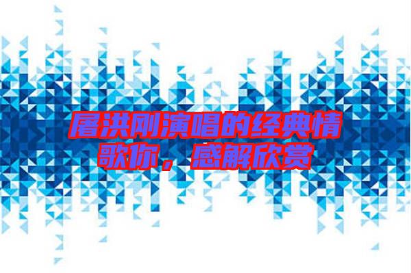 屠洪剛演唱的經(jīng)典情歌你,感解欣賞