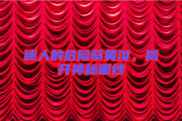 迷人的危險(xiǎn)蔡黃汝,揭開神秘面紗