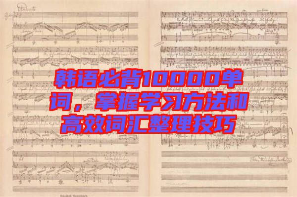 韓語必背10000單詞,掌握學習方法和高效詞匯整理技巧