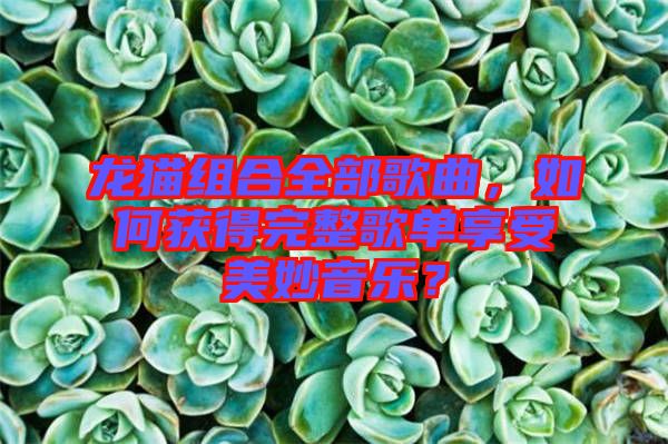 龍貓組合全部歌曲，如何獲得完整歌單享受美妙音樂？