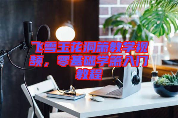 飛雪玉花洞簫教學視頻,零基礎學簫入門教程