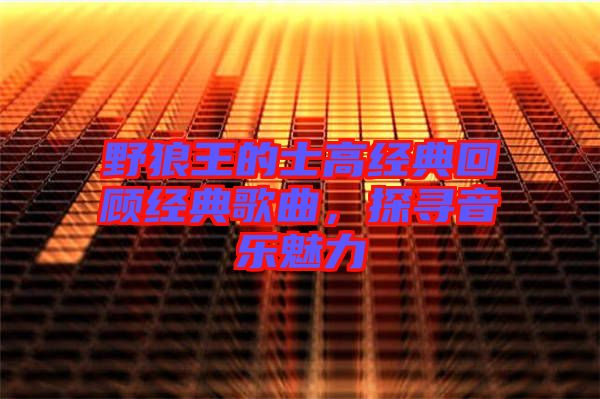 野狼王的士高經(jīng)典回顧經(jīng)典歌曲，探尋音樂魅力