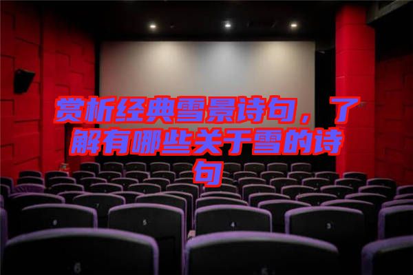 賞析經(jīng)典雪景詩(shī)句,了解有哪些關(guān)于雪的詩(shī)句