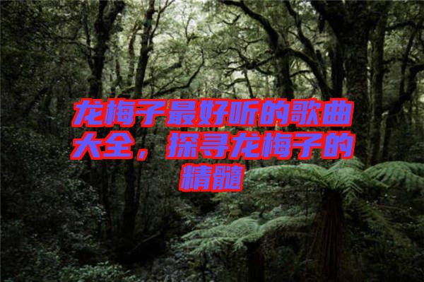龍梅子最好聽的歌曲大全,探尋龍梅子的精髓