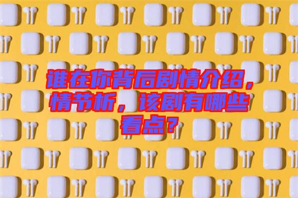 誰(shuí)在你背后劇情介紹,情節(jié)析,該劇有哪些看點(diǎn)?