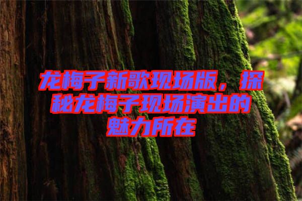 龍梅子新歌現(xiàn)場版,探秘龍梅子現(xiàn)場演出的魅力所在