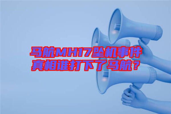 馬航MH17墜機(jī)事件真相誰打下了馬航?