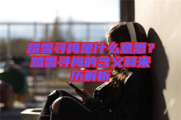 踏雪尋梅是什么意思?踏雪尋梅的含義和來歷解析