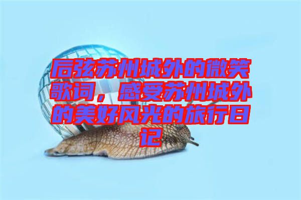 后弦蘇州城外的微笑歌詞,感受蘇州城外的美好風(fēng)光的旅行日記