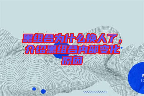 黑組合為什么換人了,介紹黑組合內(nèi)部變化原因