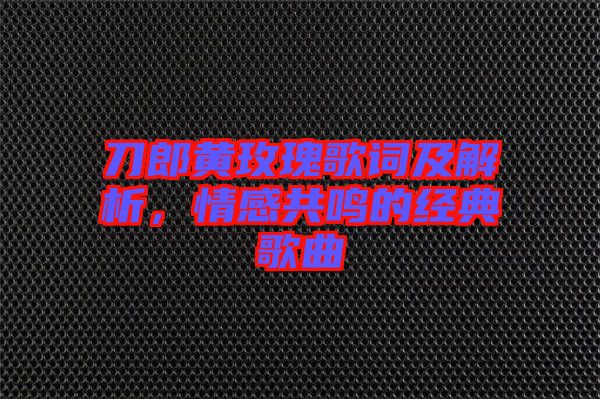 刀郎黃玫瑰歌詞及解析,情感共鳴的經典歌曲