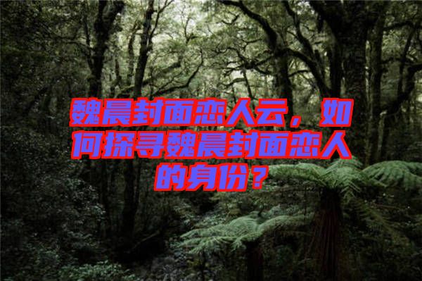 魏晨封面戀人云，如何探尋魏晨封面戀人的身份？