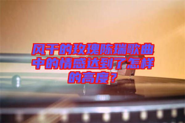 風干的玫瑰陳瑞歌曲中的情感達到了怎樣的高度？