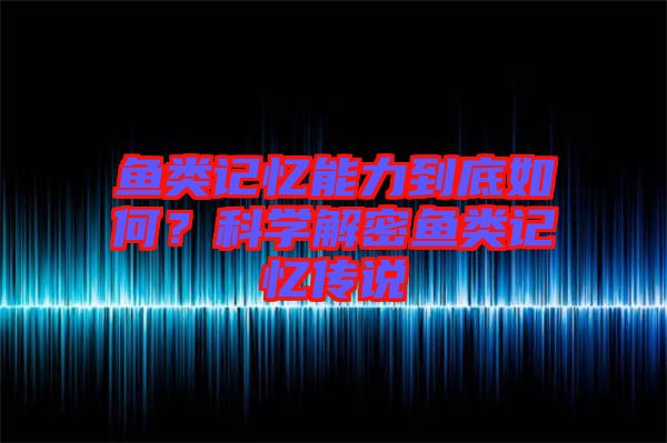 魚(yú)類(lèi)記憶能力到底如何?科學(xué)解密魚(yú)類(lèi)記憶傳說(shuō)