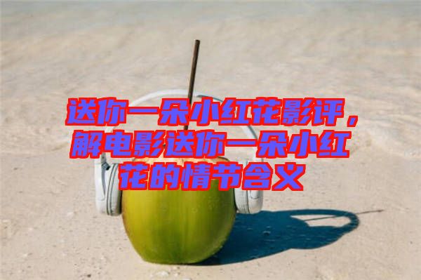 送你一朵小紅花影評，解電影送你一朵小紅花的情節(jié)含義