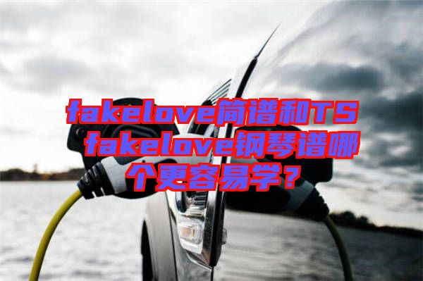 fakelove簡譜和TS fakelove鋼琴譜哪個更容易學?