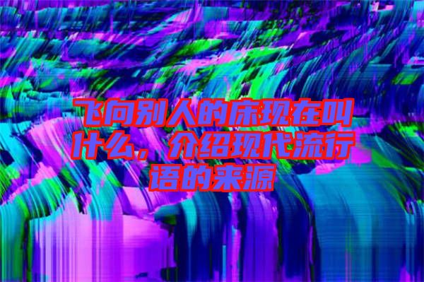 飛向別人的床現在叫什么,介紹現代流行語的來源