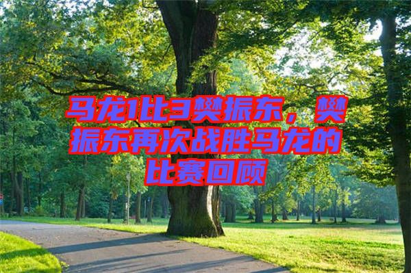 馬龍1比3樊振東,樊振東再次戰勝馬龍的比賽回顧