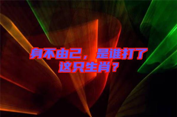 身不由己，是誰打了這只生肖？