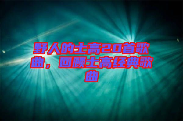 野人的士高20首歌曲,回顧士高經典歌曲