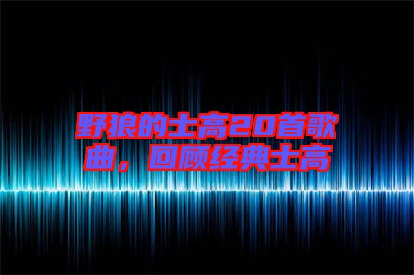 野狼的士高20首歌曲,回顧經(jīng)典士高