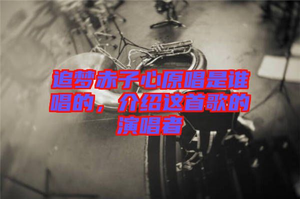 追夢赤子心原唱是誰唱的,介紹這首歌的演唱者